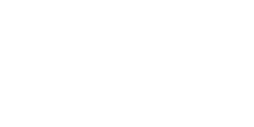 canvas_0001_sony-1.png-2