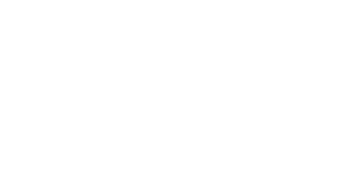 canvas_0008_dynascan-1.png-2